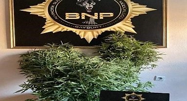 Bayburt'ta birçok adrese eş zamanlı narkotik operasyonu yapıldı