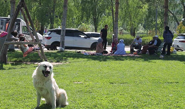 Bayburt'ta hafta sonu mesire alanları piknikçilerle doldu