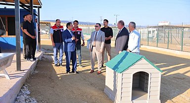 Bayburt'ta Hayvan Bakım Evi ve Doğal Yaşam Alanı ile hayvan barınağında incelemeler yapıldı
