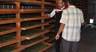 Bayburt'ta Tarhun Kurutma Tesisi ve üretim alanları incelendi
