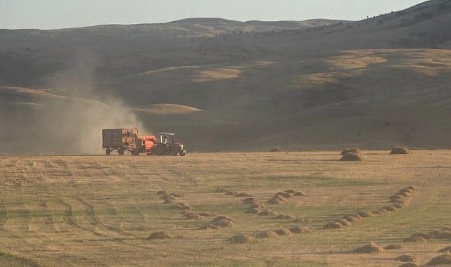 Bayburt'un Çayırköprü köyünde 194 balya ot çalındı
