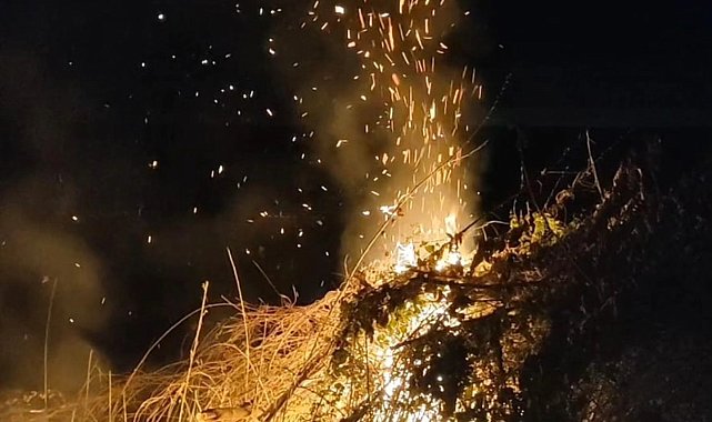 Bayırköy'de anız yangını yayılmadan söndürüldü