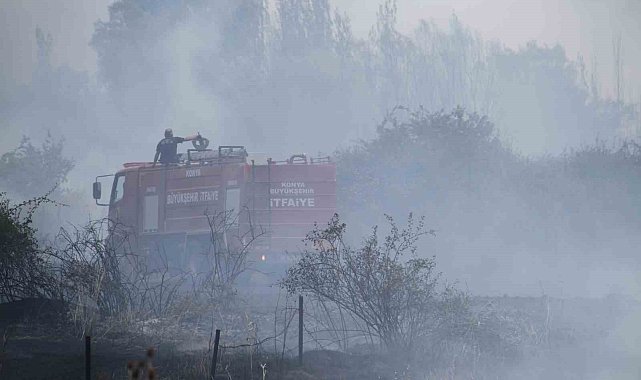 Beyşehir'de kampüs yakınlarındaki yangın korkuttu