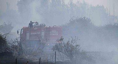 Beyşehir'de kampüs yakınlarındaki yangın korkuttu