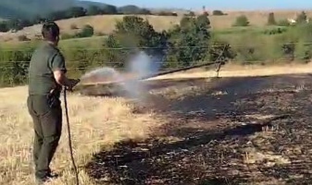 Bilecik'te çıkan yangın kontrol altında