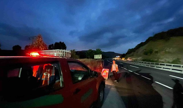 Bilecik'te kaçak orman ürünlerine geçit yok