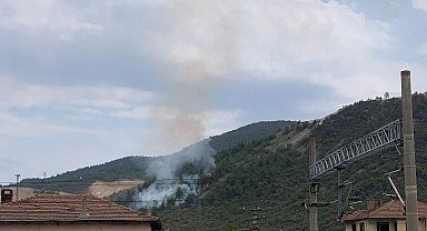 Bilecik'te orman yangını