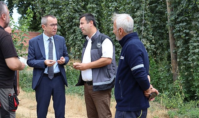 Bilecik'te şerbetçi otu incelemesi: Türkiye'de sadece Pazaryeri'nde yetişiyor
