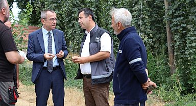 Bilecik'te şerbetçi otu incelemesi: Türkiye'de sadece Pazaryeri'nde yetişiyor