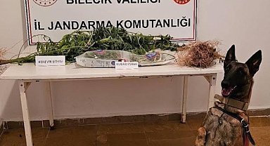 Bilecik'te uyuşturucu operasyonu