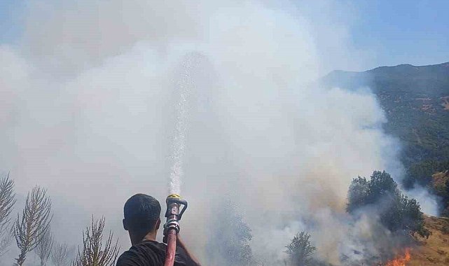 Bingöl'de kırsal alanda çıkan yangın söndürüldü
