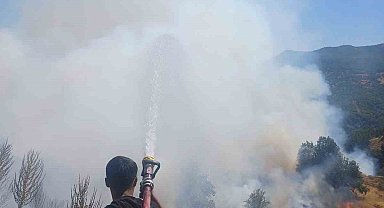 Bingöl'de kırsal alanda çıkan yangın söndürüldü
