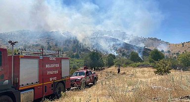 Bingöl'de köyde çıkan yangın ormana sıçradı, müdahale sürüyor