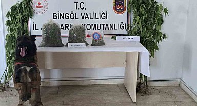 Bingöl'de uyuşturucuyla mücadele