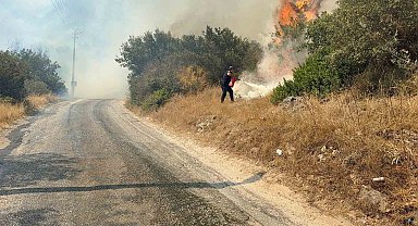 Bodrum'da makilik alanda yangın paniği: "Havadan ve karadan müdahale sürüyor"