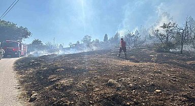 Bolu'da çalılık arazide çıkan yangın evlere sıçramadan söndürüldü