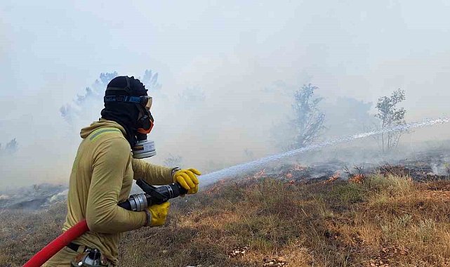 Bolu'da çıkan orman yangını kontrol altına alındı