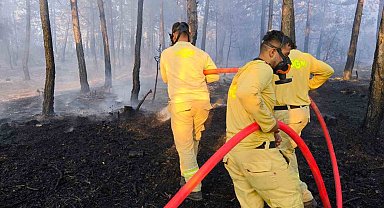 Bolu'da küle dönen 20 hektar ormanda, soğutma çalışması sürüyor