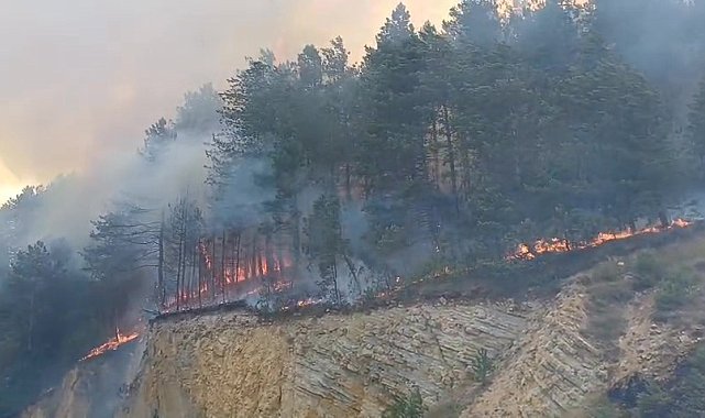 Bolu'da orman yangını başladı: Havadan ve karadan müdahale sürüyor