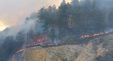Bolu'da orman yangını başladı: Havadan ve karadan müdahale sürüyor