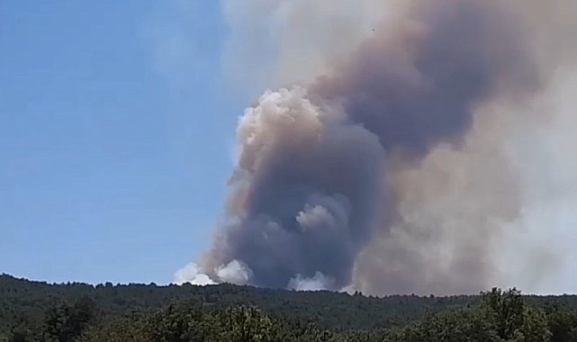 Bolu'da orman yangını başladı