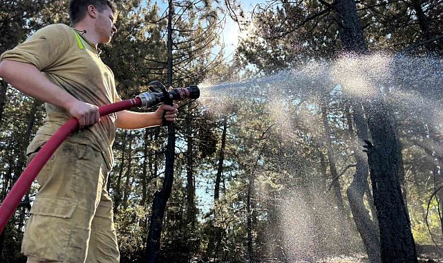 Bolu'da orman yangını büyük ölçüde kontrol altına alındı