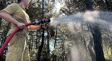 Bolu'da orman yangını büyük ölçüde kontrol altına alındı