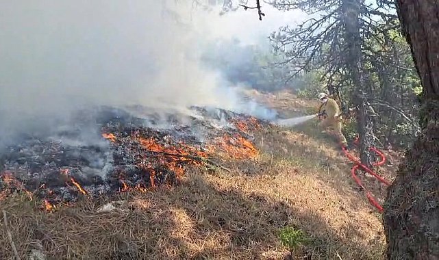 Bolu'da orman yangını: Havadan ve karadan müdahale sürüyor