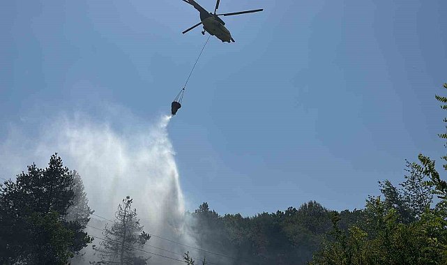 Bolu'da ormanlık alanda çıkan yangın büyümeden söndürüldü