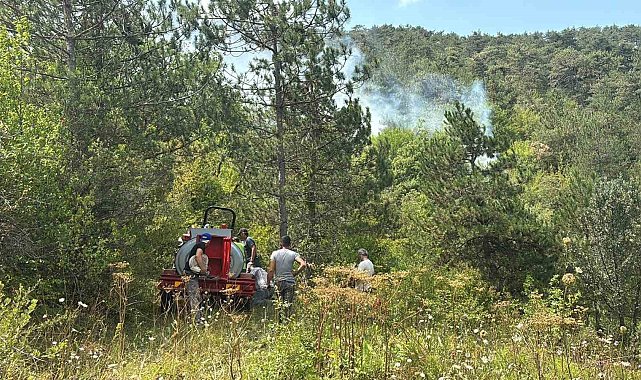 Bolu'da ormanlık alanda yangın başladı