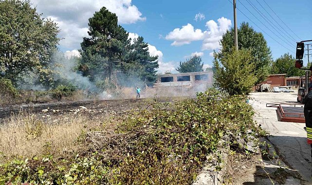 Bolu'da ot yangını büyümeden söndürüldü