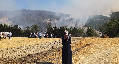 Bolu'daki orman yangını 5.saatinde