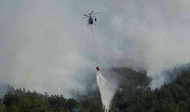 Bolu'daki orman yangını kısmen kontrol altında: 2 gözaltı