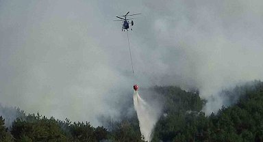 Bolu'daki orman yangını kısmen kontrol altında: 2 gözaltı