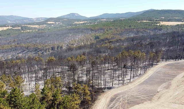 Bolu'daki orman yangını tamamen kontrol altına alındı