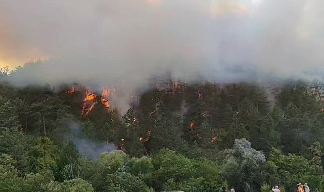 Bolu'daki orman yangını yayılıyor: 7 helikopterle havadan destek