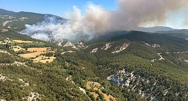 Bolu'daki orman yangınına müdahale sürüyor