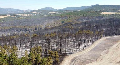 Bolu'daki orman yangınıyla ilgili 1 kişi tutuklandı