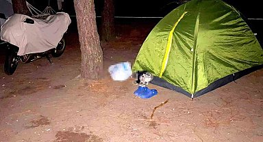 Boşanmak üzere olduğu eşini öldürüp kaçtığı Sinop'ta yakalanan şahıs Trabzon'a getirildi