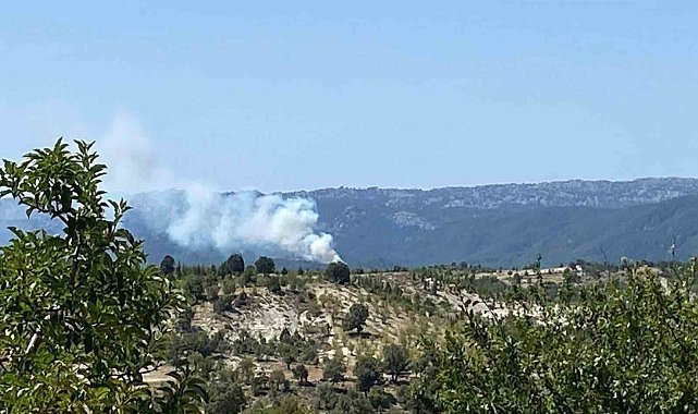 Bozyazı'da orman yangını