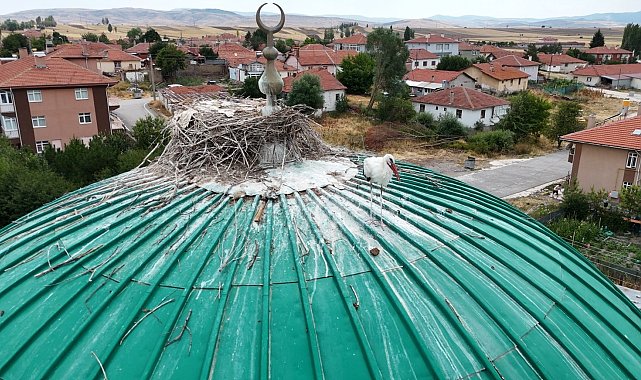 Bu caminin kubbesi yıllardır leyleklere ev sahipliği yapıyor