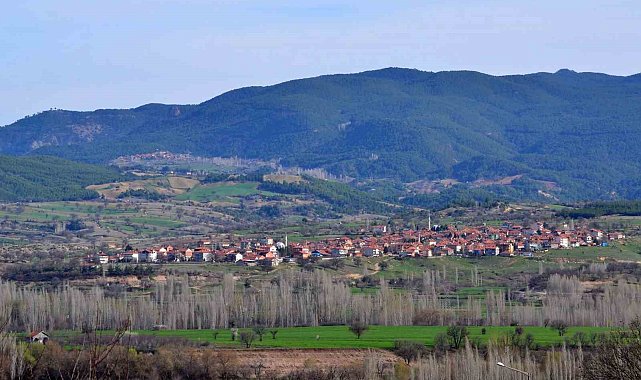 Bu köyde vatandaşlar sandık başına gitti