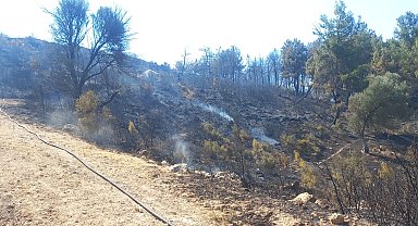 Buca ve Aliağa'da çıkan yangınlar kontrol altında