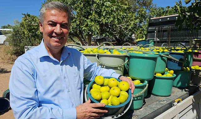 Buharkent Taze İncir Festivali Cuma günü başlıyor