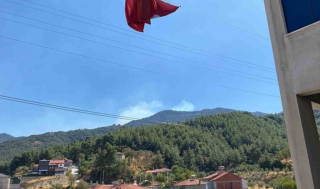 Buldan'da ormanlık alanda yangın çıktı