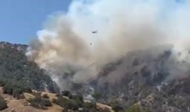 Buldan'da yangını söndürmek için bölgede bulunan dozer operatörü yaralanarak hastaneye kaldırıldı