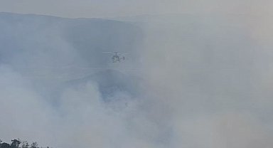 Buldan'daki orman yangına müdahale sürüyor