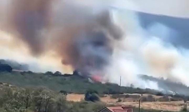 Bursa’da orman yangını