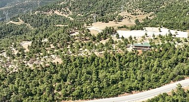 Bursa Gürsu'nun mesire alanı küllerden temizlendi