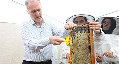 Bursa İnegöl bal üretiminde kalitesiyle dikkat çekti